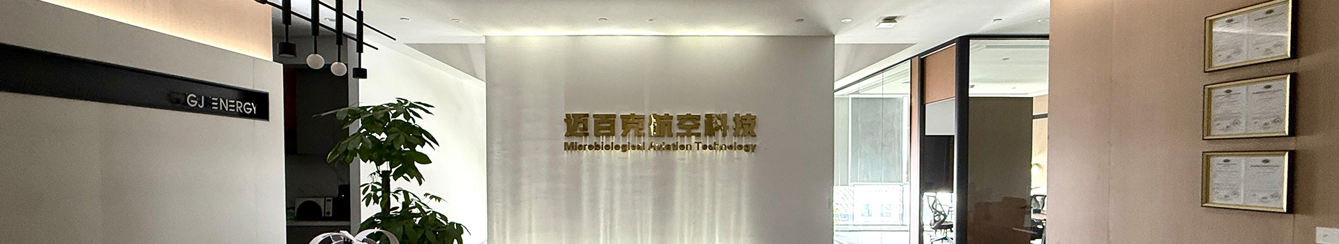 公司介绍